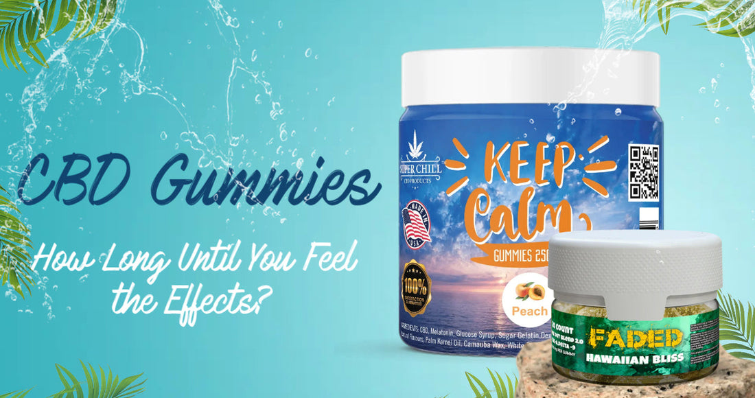 How Long Do CBD Gummies Take to Work? Everything You Need to Know?
