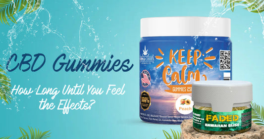 How Long Do CBD Gummies Take to Work? Everything You Need to Know?