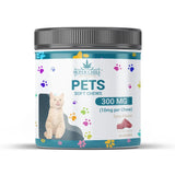 Soft Chews Tuna Flavor For Cat